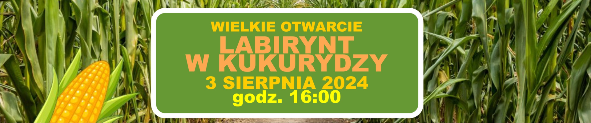 Wielkie otwarcie labiryntu w kukurydzy [3 sierpnia]