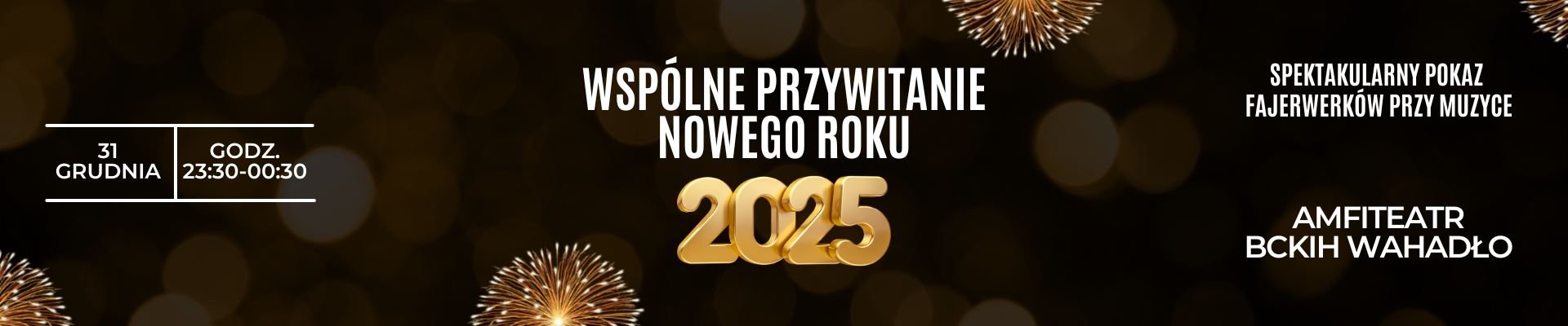 Powitanie nowego roku [31.12.2024]