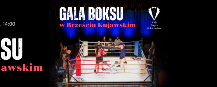 Walki Białych Kołnierzyków – gala bokserska [26.09.2026, godz. 14:00]